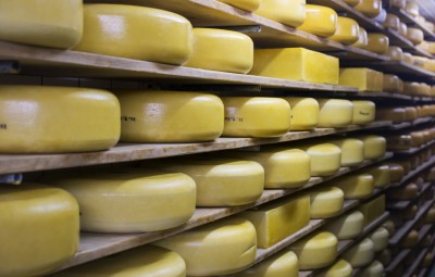cheese exporter