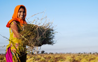 India an export market for UK